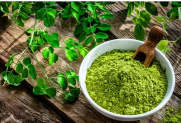 Moringa Leaves Powder